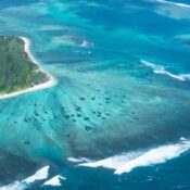 Mauritius is a paradise island with stunning beaches, lush nature, and diverse cultural experiences. Here are the top things to do in Mauritius: